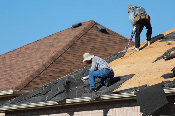 Best Asphalt Shingle Roofing  in Carney, MD