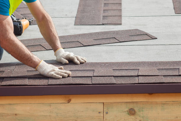 Best Roof Maintenance and Cleaning  in Carney, MD