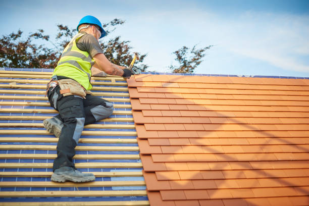 Best Sheet Metal Roofing  in Carney, MD